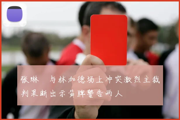 张琳芃与林加德场上冲突激烈主裁判果断出示黄牌警告两人