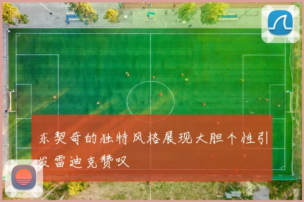 东契奇的独特风格展现大胆个性引发雷迪克赞叹