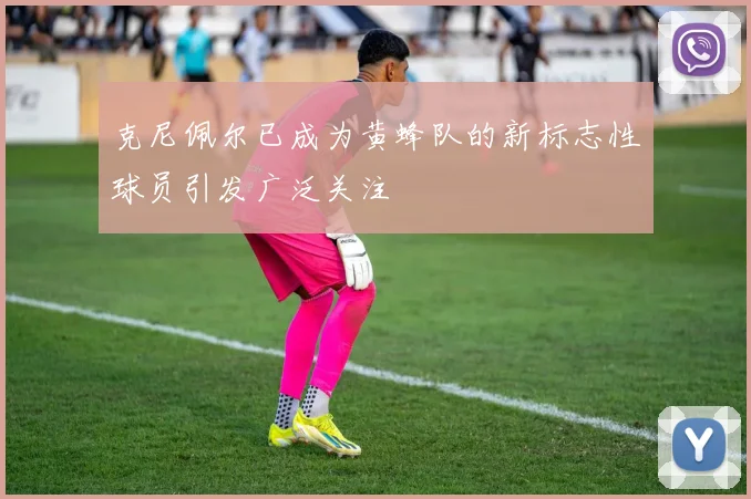 克尼佩尔已成为黄蜂队的新标志性球员引发广泛关注