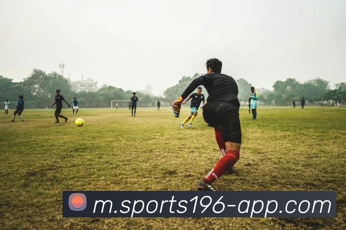 196体育平台生态图